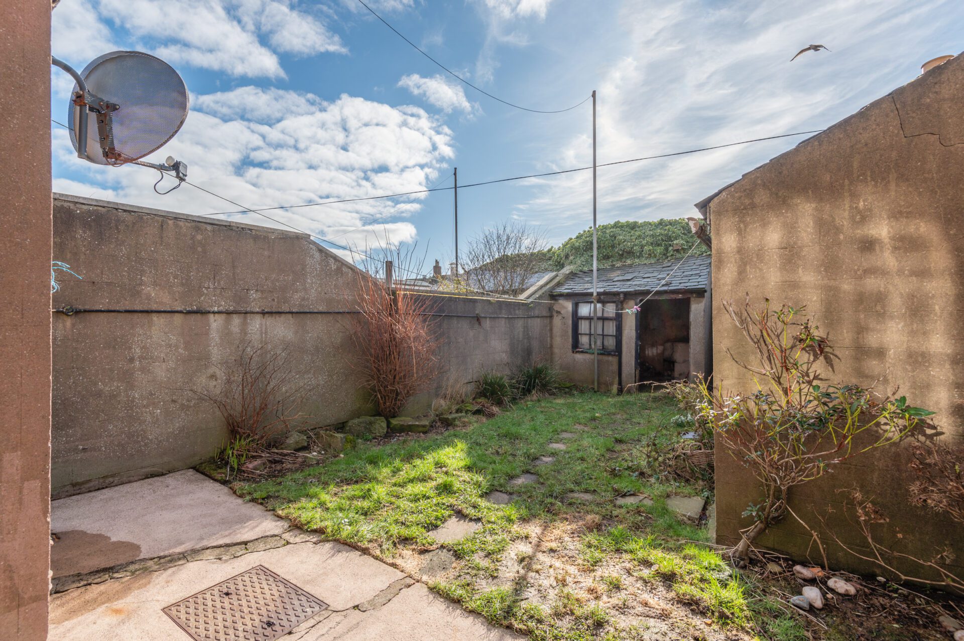 11 rear garden