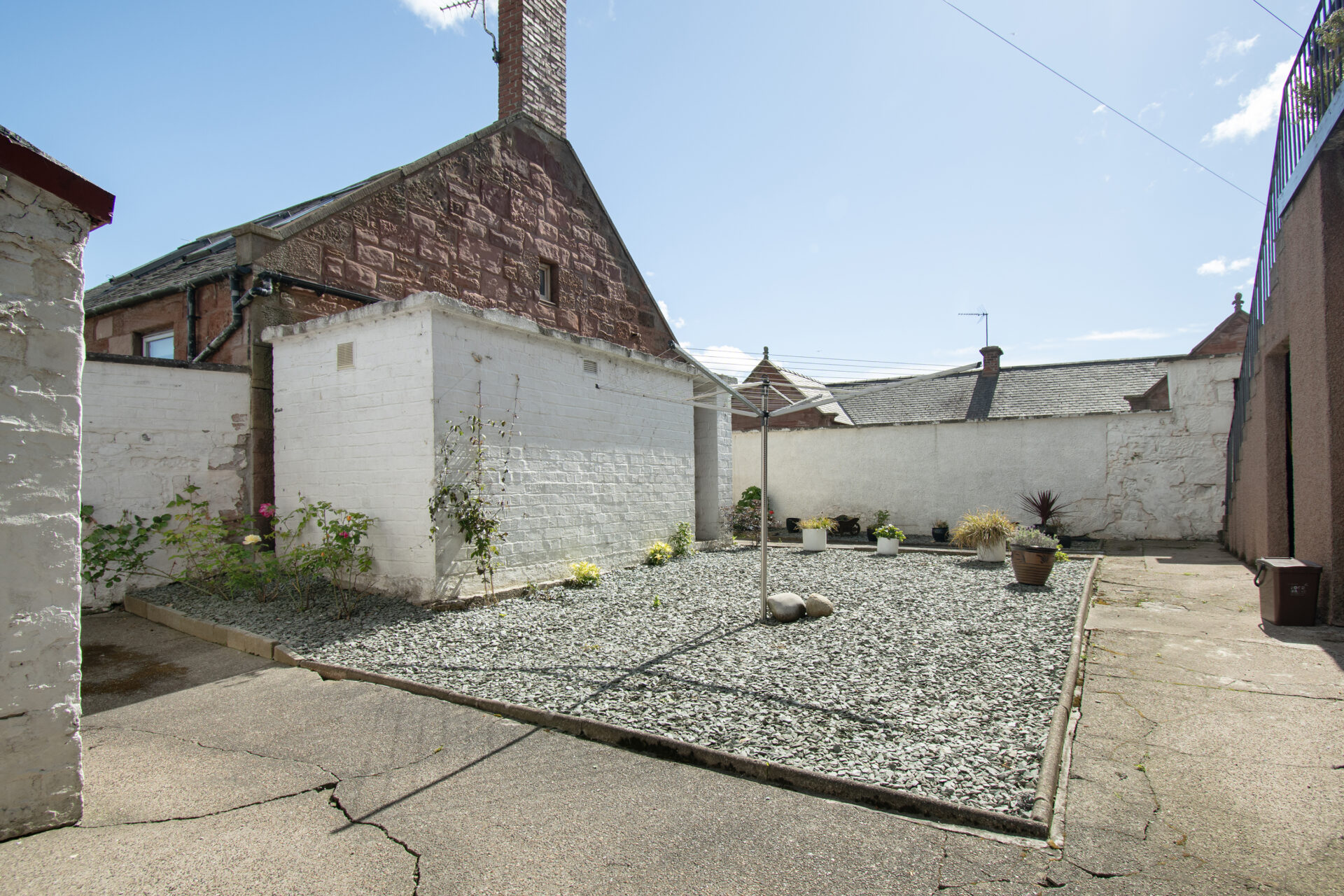 garden (3)
